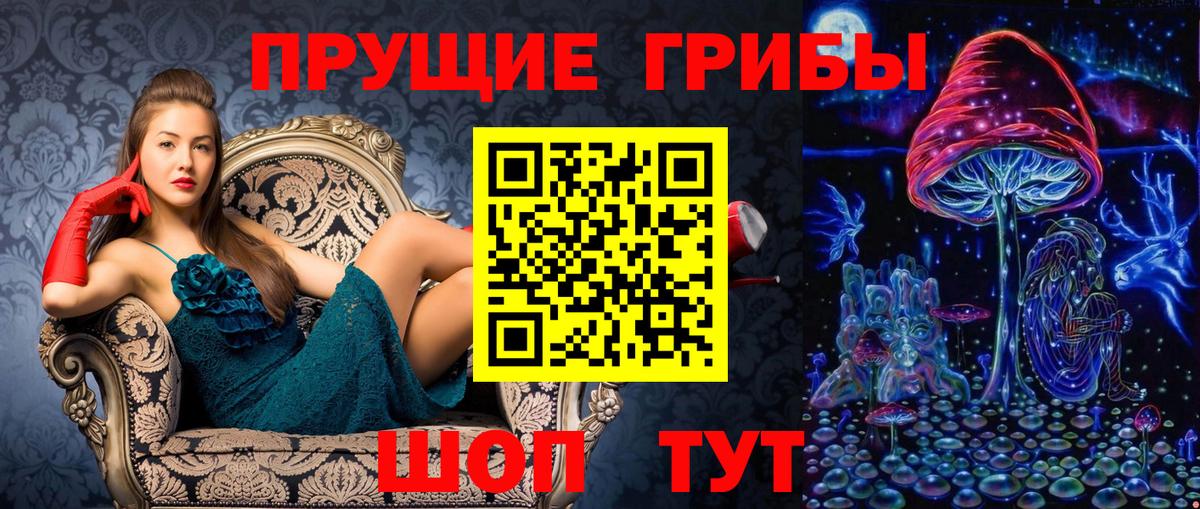 наркотики  Галлюциногенные грибы GOLDEN TEACHER  Вход с VPN  Димитровград 