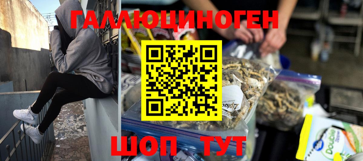 Псилоцибиновые грибы мухоморы Димитровград